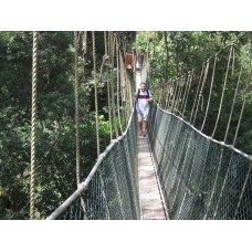 Transfer from Jerantut to National Park, Pahang.